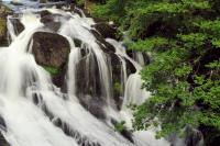 canon G3X sample gallery 8