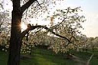 canon 760D sample gallery 2