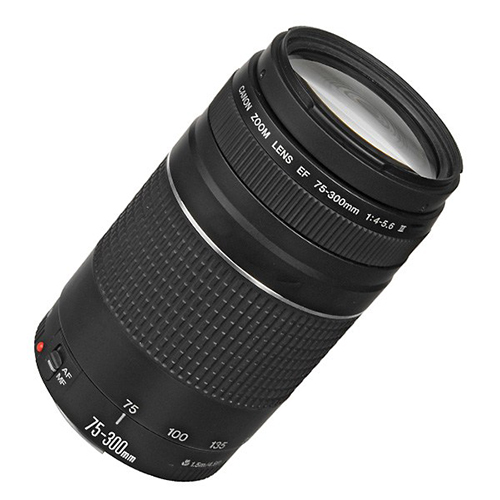 لنز کانن Canon EF 75-300 mm F/4.0-5.6 III