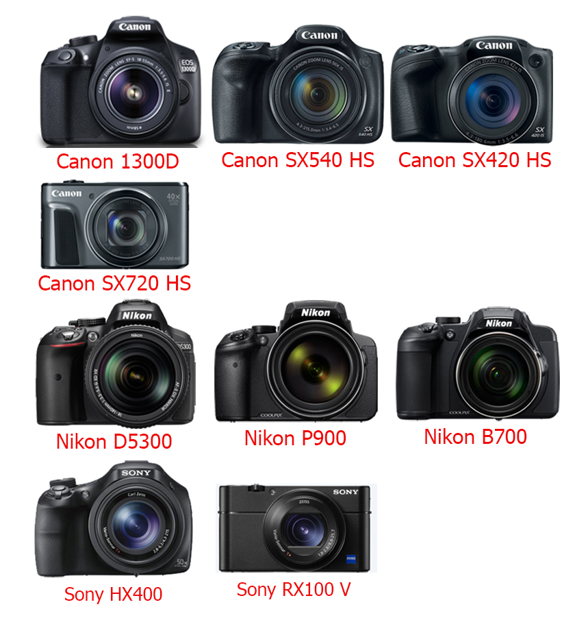 محبوب ترین ها