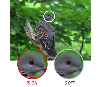 دوربین کانن Canon Powershot SX70 HS