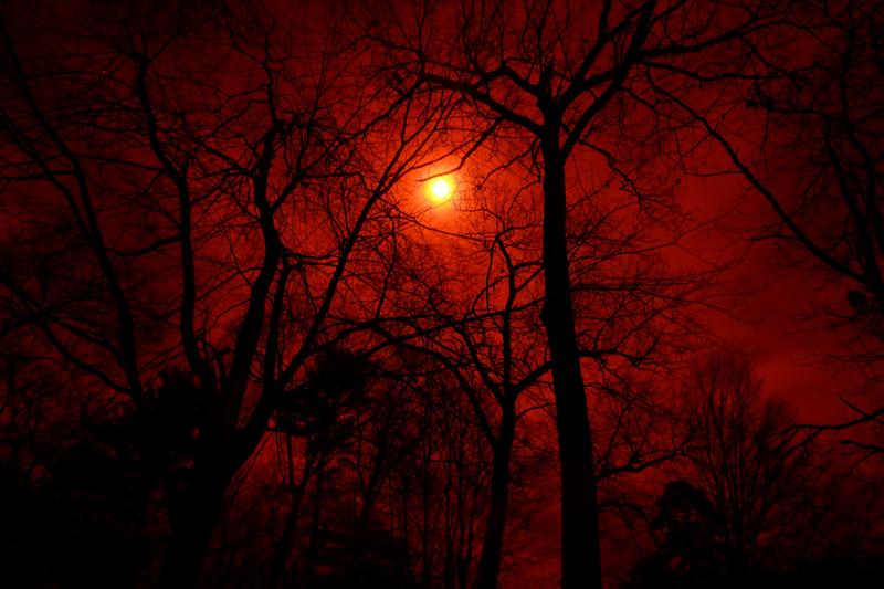 دوربین بدون آینه فوجی‌فیلم  FUJIFILM X-T200