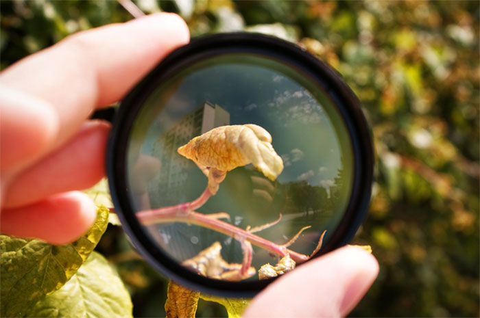 اتوفوکوس (AF)