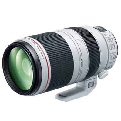 Canon EF100 - 400mm f/4.5 -5.6L IS II USM