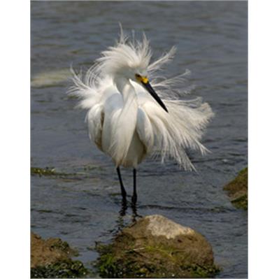 Sigma120 - 300mm f/2.8 EX DG HSM 1