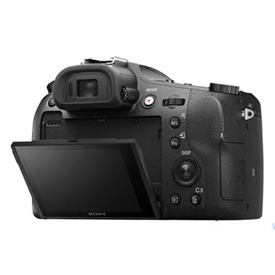 سونی Sony Syber-shot DSC-RX10 III 5