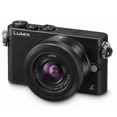 پاناسونیک جی ام 1 /Panasonic GM1