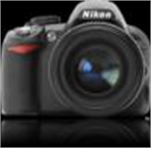 دوربین دیجیتال SLR D3100  نیکون معرفی شد