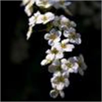 Nikon 16 - 85 f/3.5-5.6G ED VR AF-S DX 1