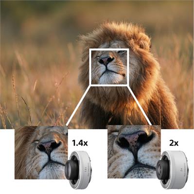 لنز دوربین سونی Sony FE 600mm F4 GM OSS