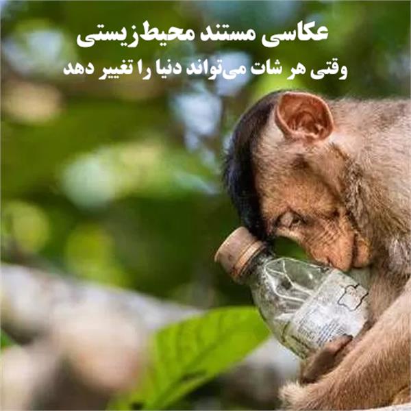 عکاسی مستند محیط‌زیستی؛ وقتی لنز دوربین صدای زمین می‌شود