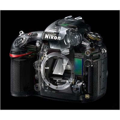 NIKON D800 11