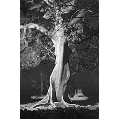 Sigma18 - 200mm f/3.5-6.3 DC 1