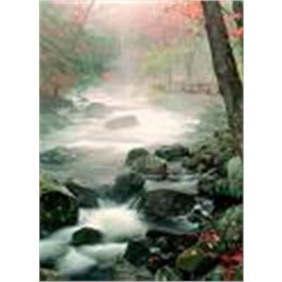 Sigma28 - 105mm f/2.8 - 4 DG 1