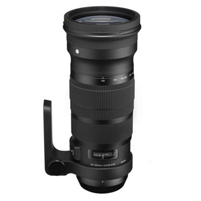 Sigma 120 - 300mm f/2.8 EX DG HSM