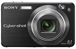 Sony W130
