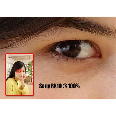RX10 SONY 3