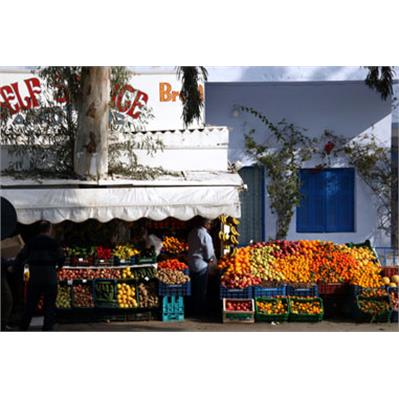 Canon EF 70- 300mm f/4.5 -5.6 DO IS USM    2