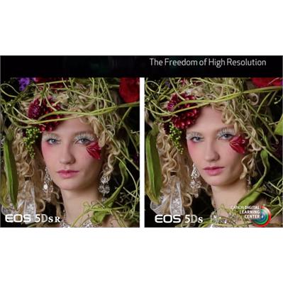 canon 5DS 2