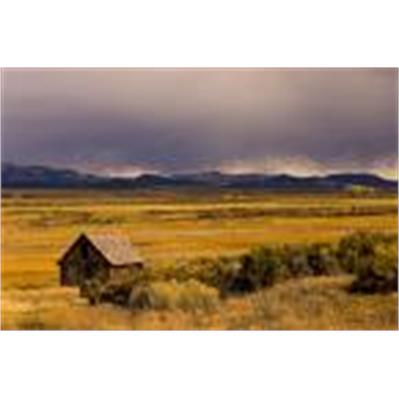 Nikon 17 - 55mm f/2.8G IF DX 1