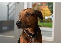 گالری عکس دوربین D3500 نیکون