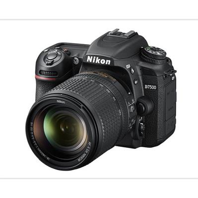 نیکون Nikon D7500 11