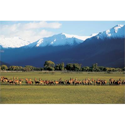 Canon EF 28-105mm f/3.5-4.5 II USM 2