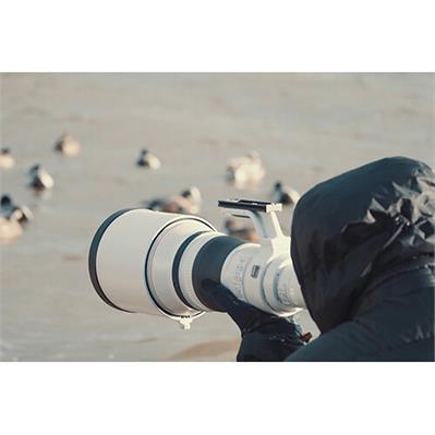 لنز دوربین کانن Canon RF 800mm F5.6L IS USM