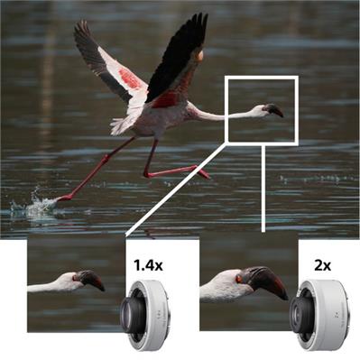 لنز دوربین سونی FE 200-600mm F5.6-6.3 G OSS