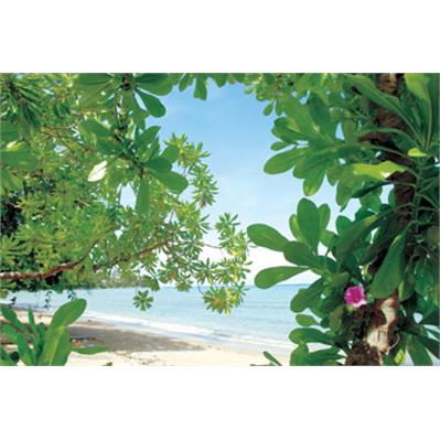 Canon EF 24 - 70 mm 2