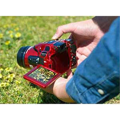 نیکون  COOLPIX P610 2