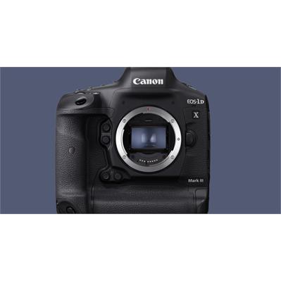 1dx mark deals iii