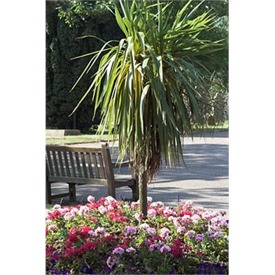  Sigma28 - 200mm f/3.5-5.6 DG Macro 3