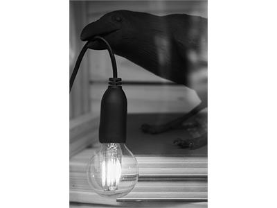 گالری عکس دوربین کانن Canon 90D