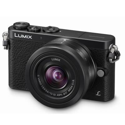 پاناسونی Panasonic GM1