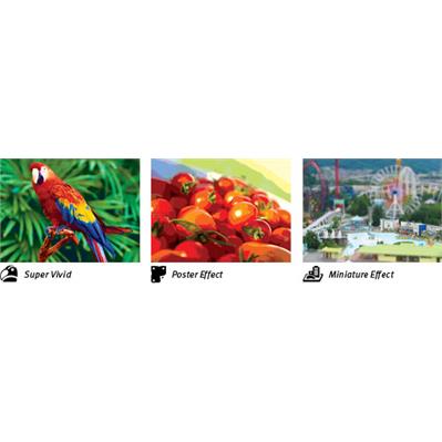 canon powershot SX410 9