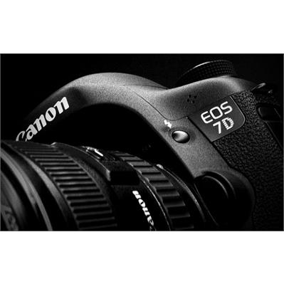 CANON 7D 29