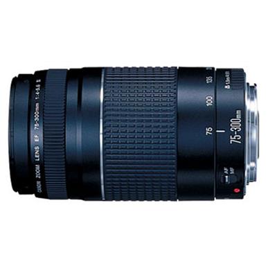 Canon EF 75 - 300mm f/4.5-5.6 III