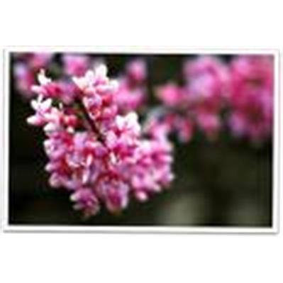 Sigma28 - 70mm f/2.8  EX DG 1