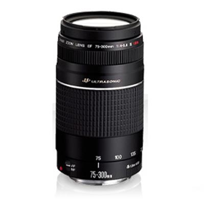 Canon FE 75 - 300mm f/4- 5.6 III USM