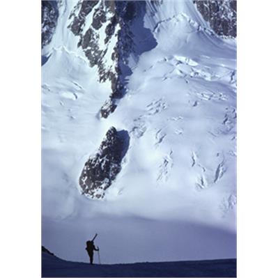 Sigma 28 - 300mm F3.5 - 6.3 DG Macro  1