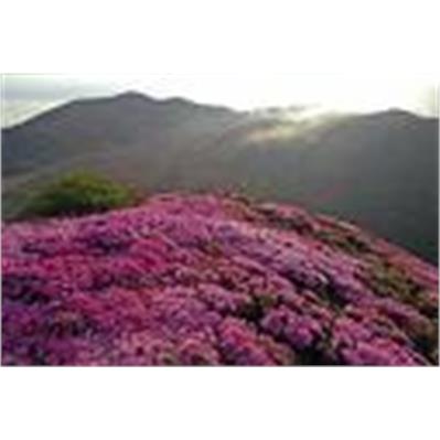 Sigma12 - 24mm f4.5 - 5.6 EX DG ASPHERICAL HSM 2