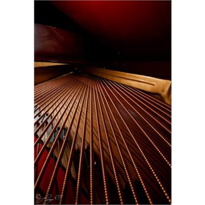 Sigma 10- 20mm f/4 - 5.6 EX DG HSM 1