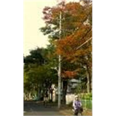 Nikon55 - 200mm f/4-5.6G DX VR 2