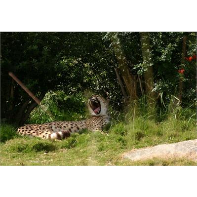 Sigma55 - 200mm f/4-5.6 DC 3