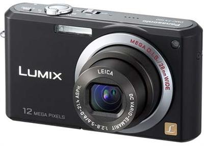 Panasonic  DMC - Fx100