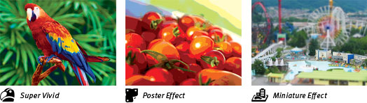 canon powershot SX410 9