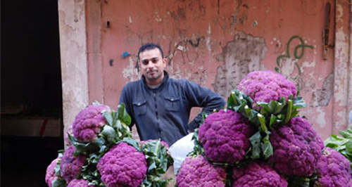 nikon coolpix S7000 8