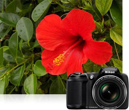 nikon coolpix L340 1