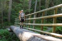 canon G3X sample gallery 1